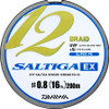 Daiwa Saltiga 12 EX+SI braid