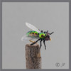 True Fly Green