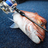 N.S Black Hole  Travel Baitcast  Rods  4