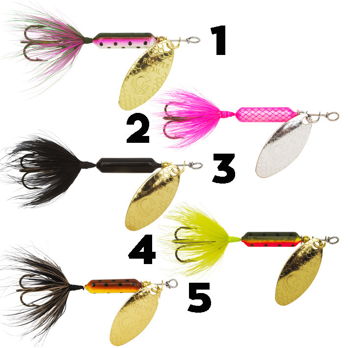 Worden's rooster tail 1/8oz Armadale Angling