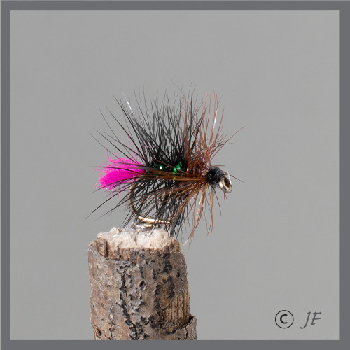 Guides Tag Guides Tag