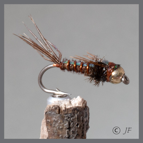 Pheasant Tail Flashback Nymph
