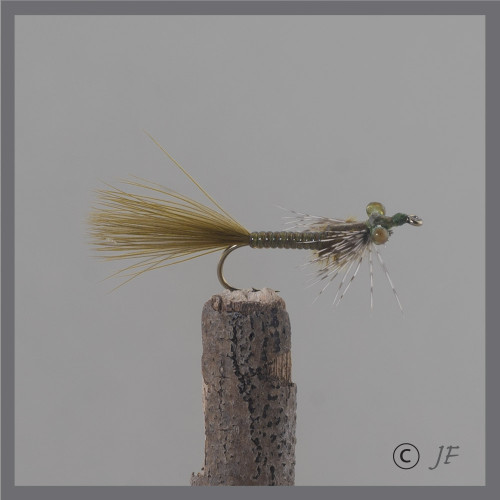 Swimming Damsel Dark Olive