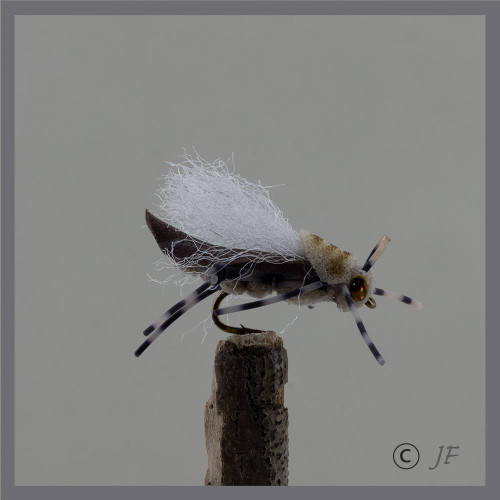 Donkey Kong Hopper Fly