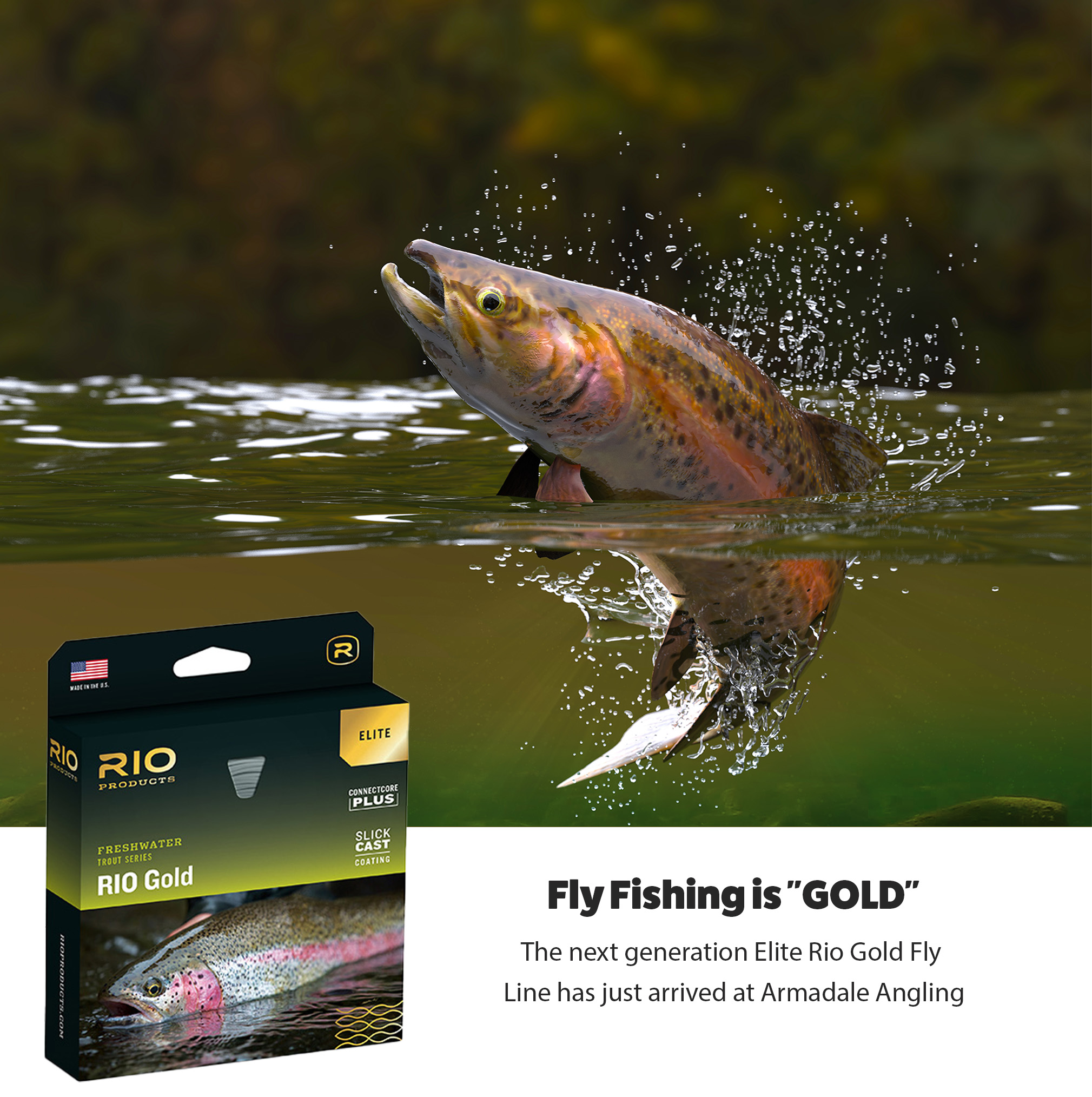 https://cdn11.bigcommerce.com/s-d63enkb3ep/images/stencil/original/uploaded_images/flyfishinggold-copy.jpg?t=1594618049