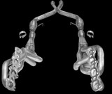2007-2010 Shelby GT500 American Racing Header 1-7/8" x 3" with Catted X-Pipe