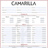 Camarilla Laws of the Night Character sheet