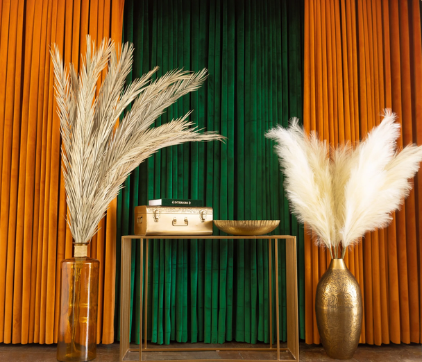 Limited Friday Photography -  Single Package