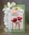 Precious Poppies Clear Stamp Set