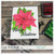 Poinsettia Greetings Clear Stamp Set