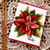 Poinsettia Greetings Clear Stamp Set