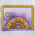 Like a Sunflower Clear Stamp Set