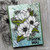Blooming Anemones Clear Stamp Set