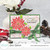 Poinsettia Wishes Clear Stamp Set