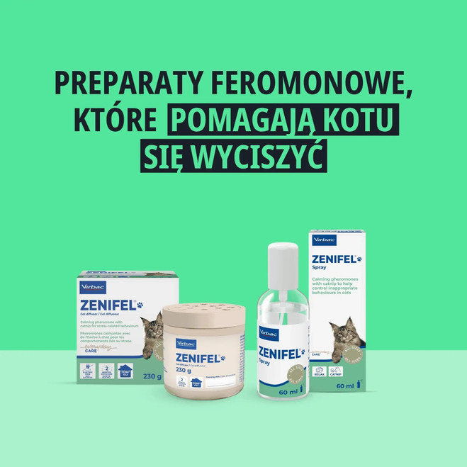 PL_Zenifel-Spray_05.2026_2.webp