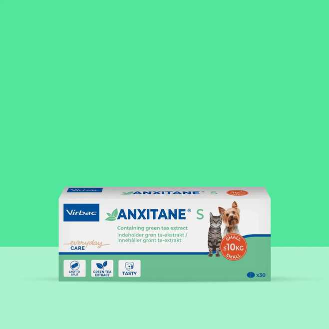 PL_Anxitane_Unity-visual_1_2026.webp