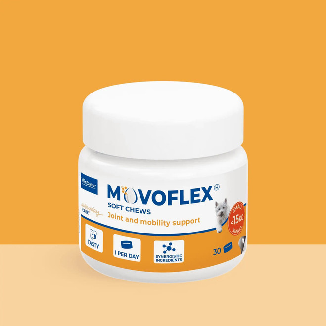 PL_MOVOFLEX-dog_Unity-visual_1_2026.webp