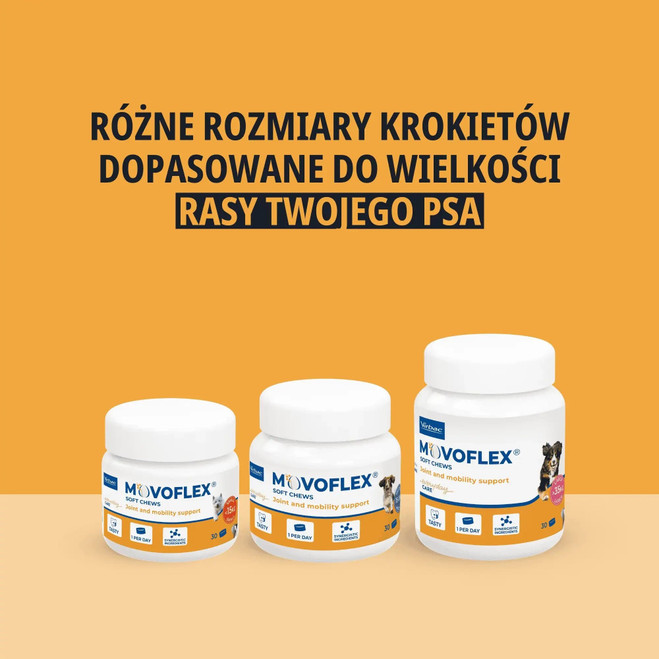 PL_MOVOFLEX-dog_Unity-visual_2_2026.webp