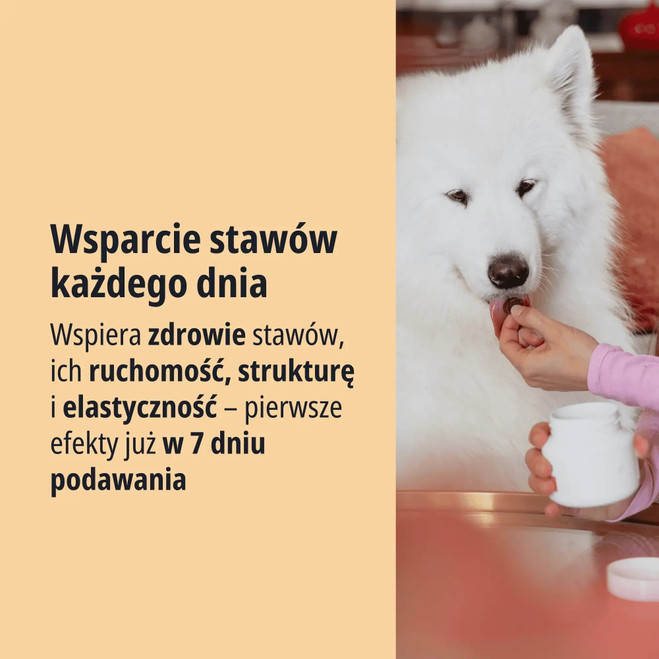 PL_MOVOFLEX-dog_Unity-visual_3_2026.webp