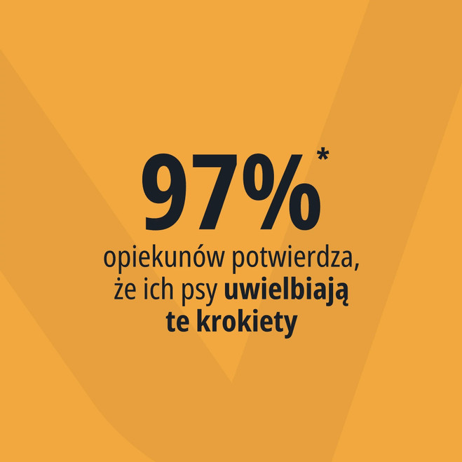 PL_MOVOFLEX-dog_Unity-visual_6_2026.webp