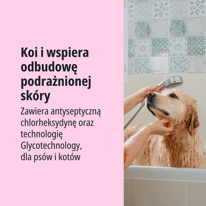 PL_Pyoderm-Shampoo_05.2026_3.webp