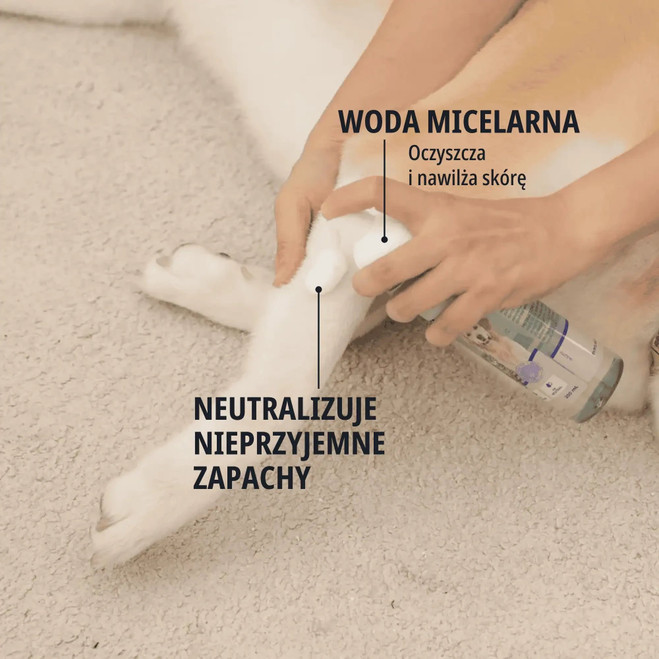 PL_Allerderm-Foam-Cleanser_05.2026_3.webp
