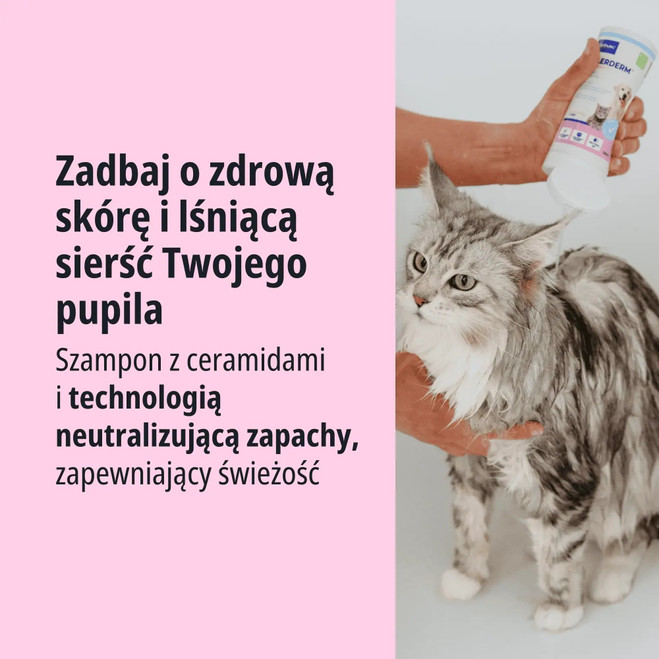 PL_Allerderm-Shampoo-For-Dogs--Cats---Normal-Skin_Unity_Visual_3.webp