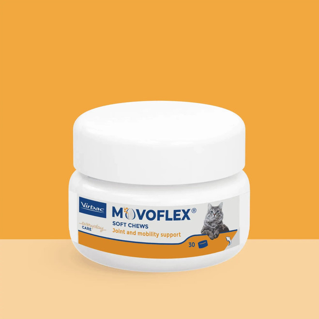 PL_MOVOFLEX-cat_05.2026_1.webp