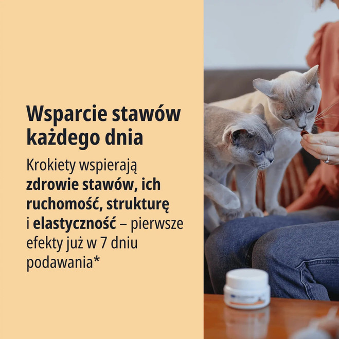 PL_MOVOFLEX-cat_05.2026_2.webp
