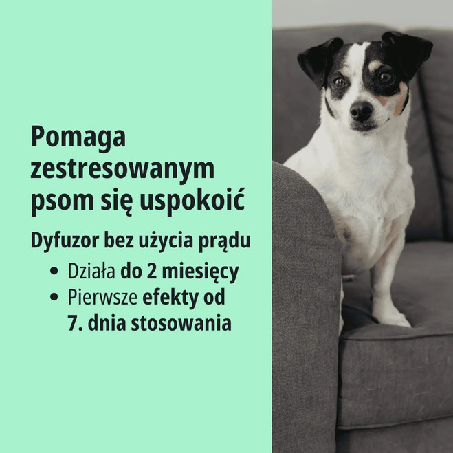 PL_Zenidog-Gel-Diffuser_05.2026_3.webp
