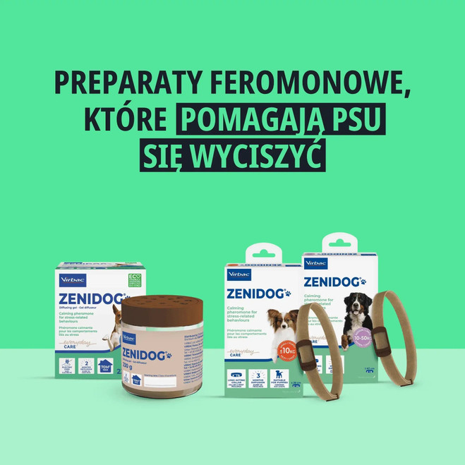 PL_Zenidog-Collar_Unity-visual_2_2026.webp