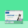 IT_Anxitane_Unity-visual_2_2026.jpg