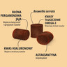 PL_MOVOFLEX-dog_Unity-visual_4_2026.webp