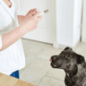 PL_Pronefra-Oral-Suspension_05.2026_4.webp