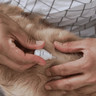 PL_Allerderm-Spot-On_05.2026_5.webp