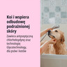 PL_Pyoderm-Shampoo_05.2026_3.webp