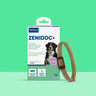 PL_Zenidog-Collar_Unity-visual_7_2026.webp