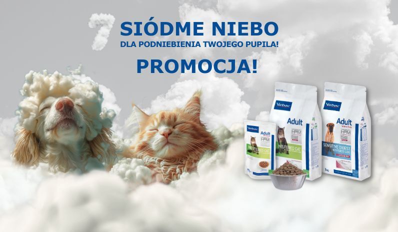 miniatura-7niebo.jpg