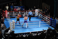 16' X 16' Professional Boxing Ring 16' X 16' Professional Boxing Ring