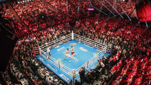 20' X 20' Pro Boxing Ring Rental 20' X 20' Pro Boxing Ring Rental