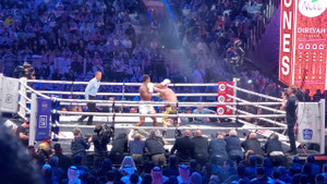Professional Boxing Ring Rentals Professional Boxing Ring Rentals