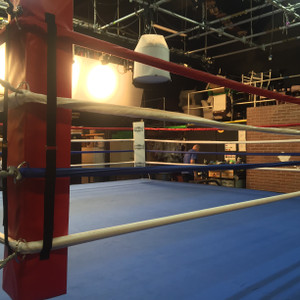 PROLAST 10' X 10' Professional Boxing Ring 