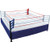 Pro Boxing Custom Grand Ring Rental
