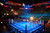 PROLAST Professional Elite Boxing Ring 
