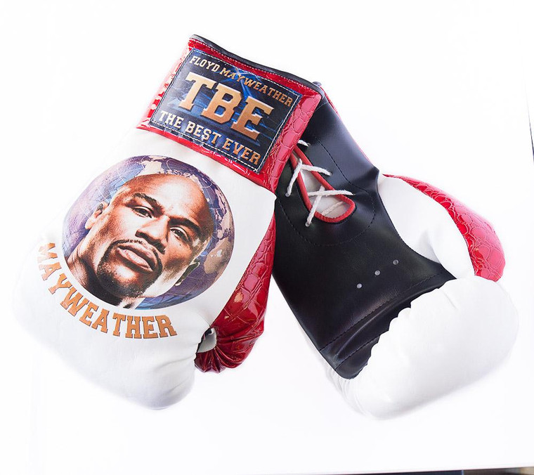 Floyd MONEY Mayweather Custom Boxing Gloves 