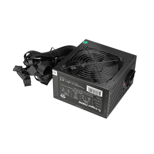 b-Vigor700W