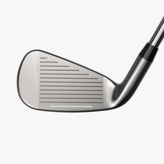 Cobra DS-ADAPT Irons
