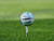 TaylorMade SpeedSoft Ink Golf Balls - 2024