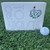 VICE Golf Pro Plus Ode to Augusta Golf Balls - LIMITED EDITION