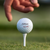 Titleist Pro V1 Father's Day Golf Balls - SPECIAL EDITION